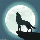 wolf and moon 