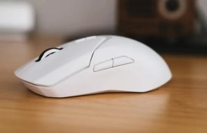 mouse